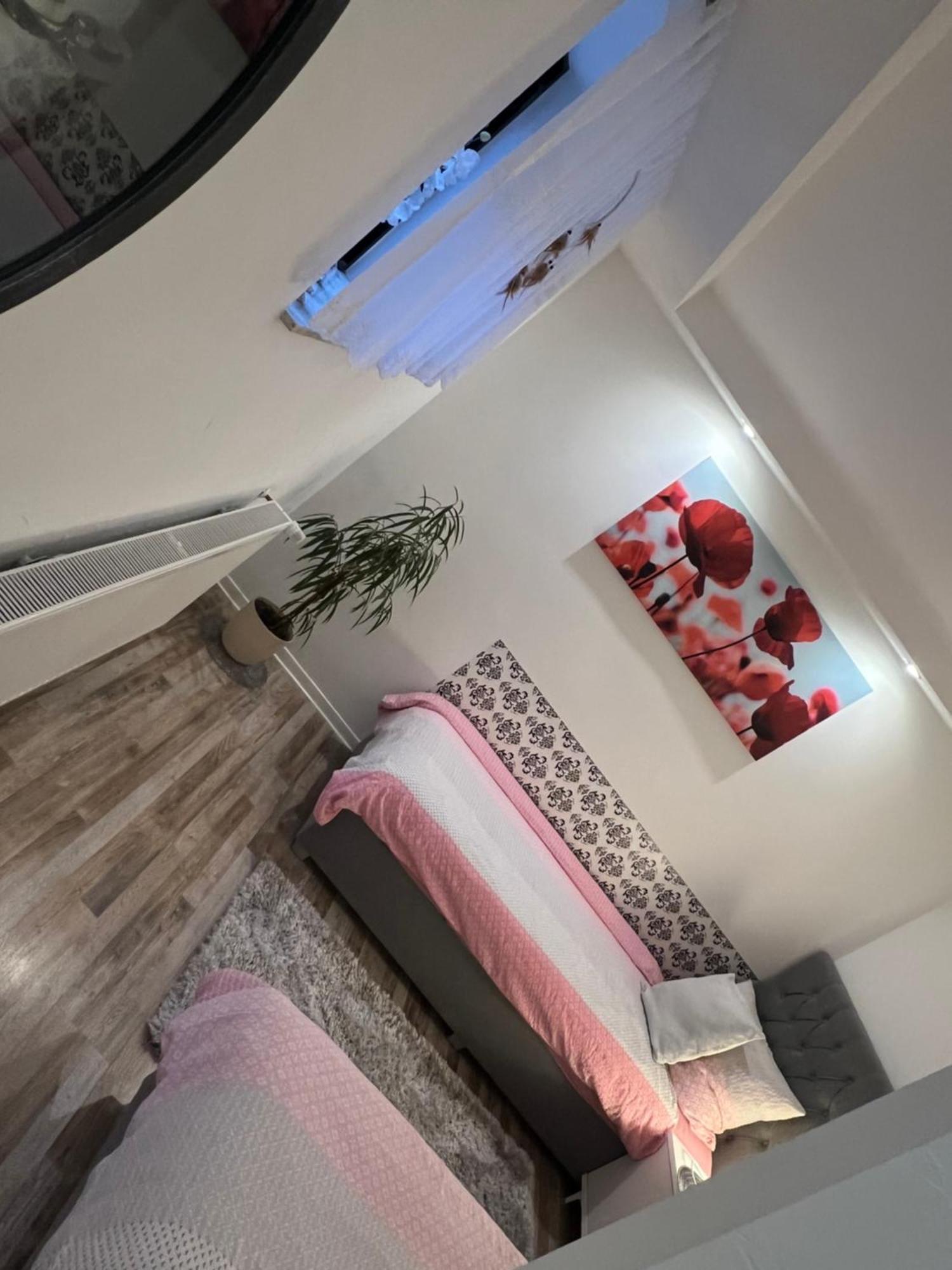 Beti Apartment 2 Nentershausen  المظهر الخارجي الصورة
